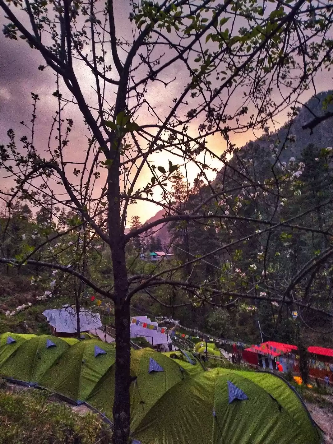 Photo of Riverside Camping at