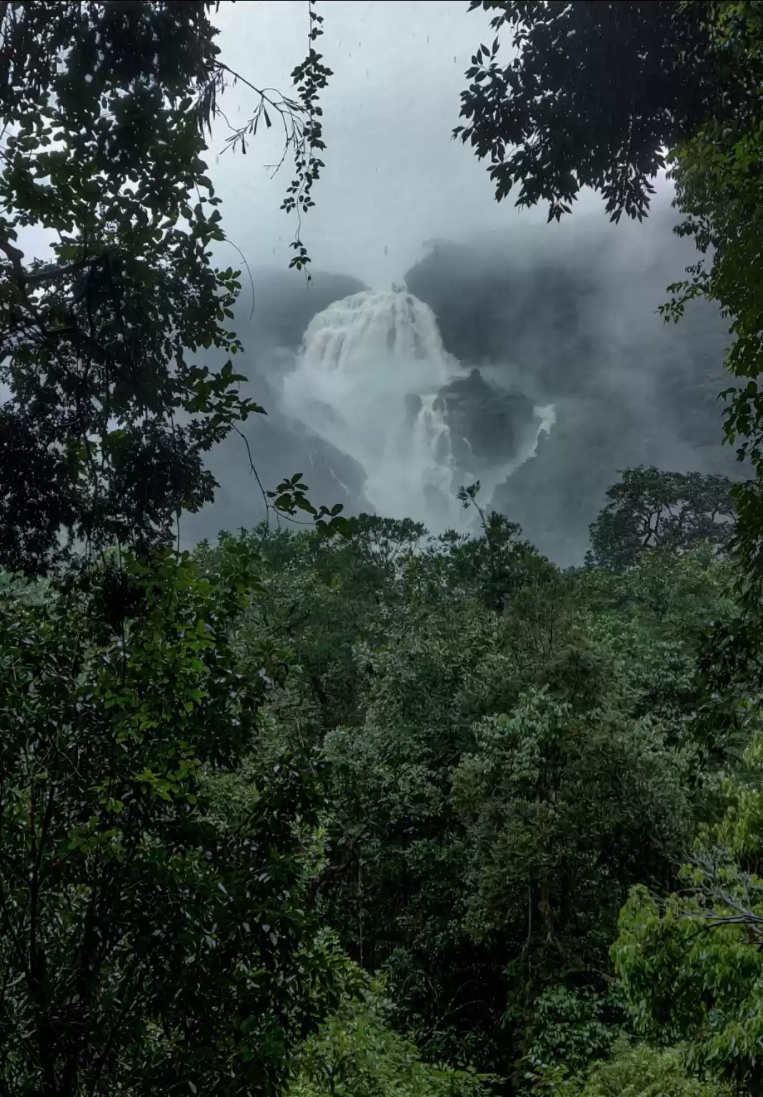 Photo of The Wonder called Du