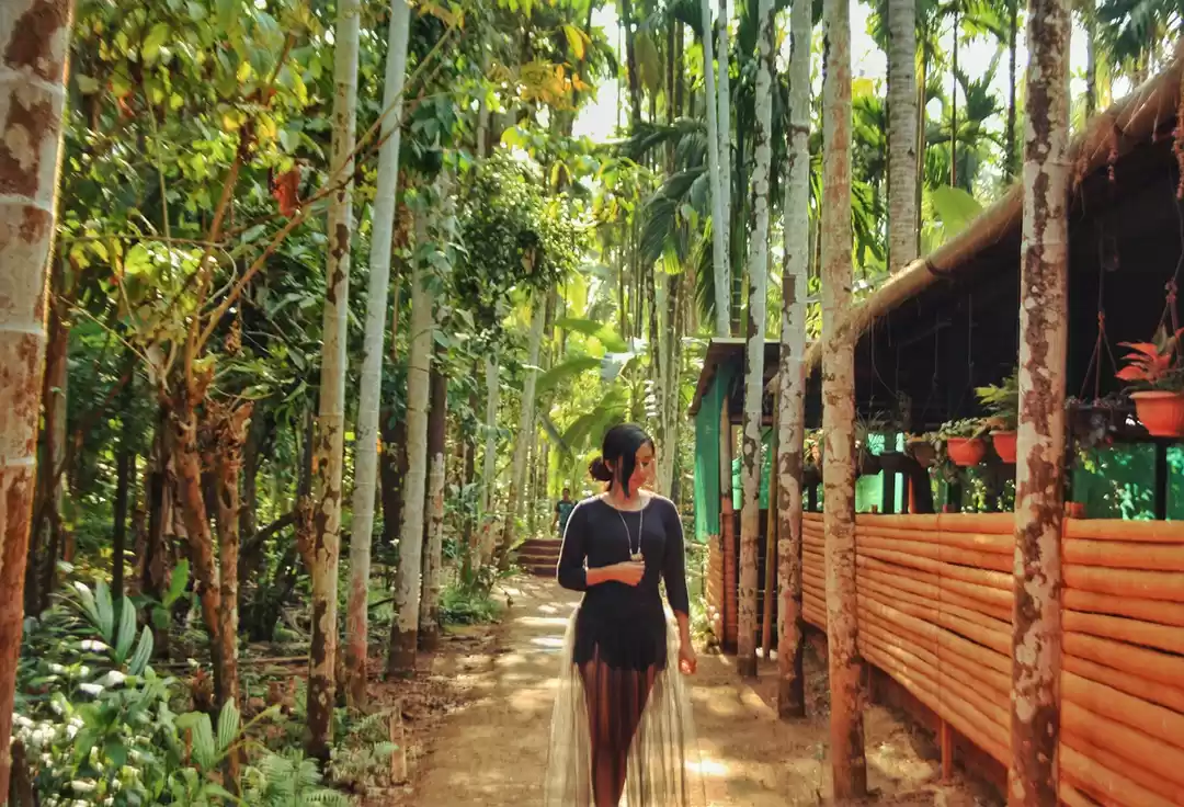 Photo of Goa is more than boo