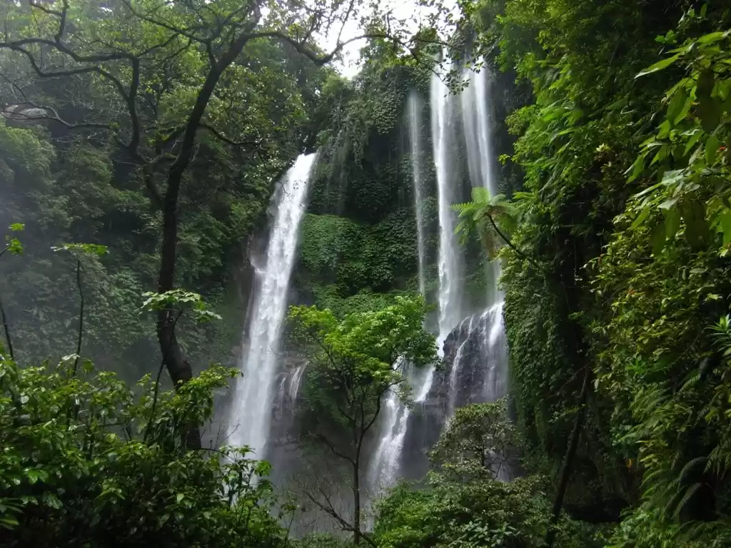 Photo of Sekumpul Waterfalls!