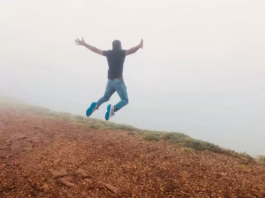 Photo of All South India in 4