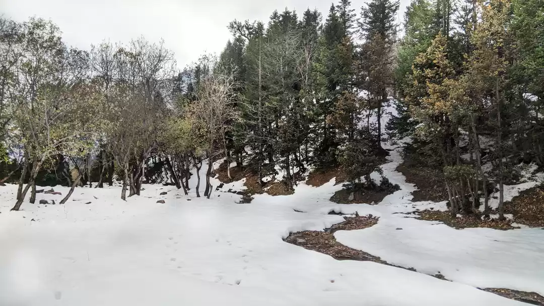 Photo of A Budget Friendly So