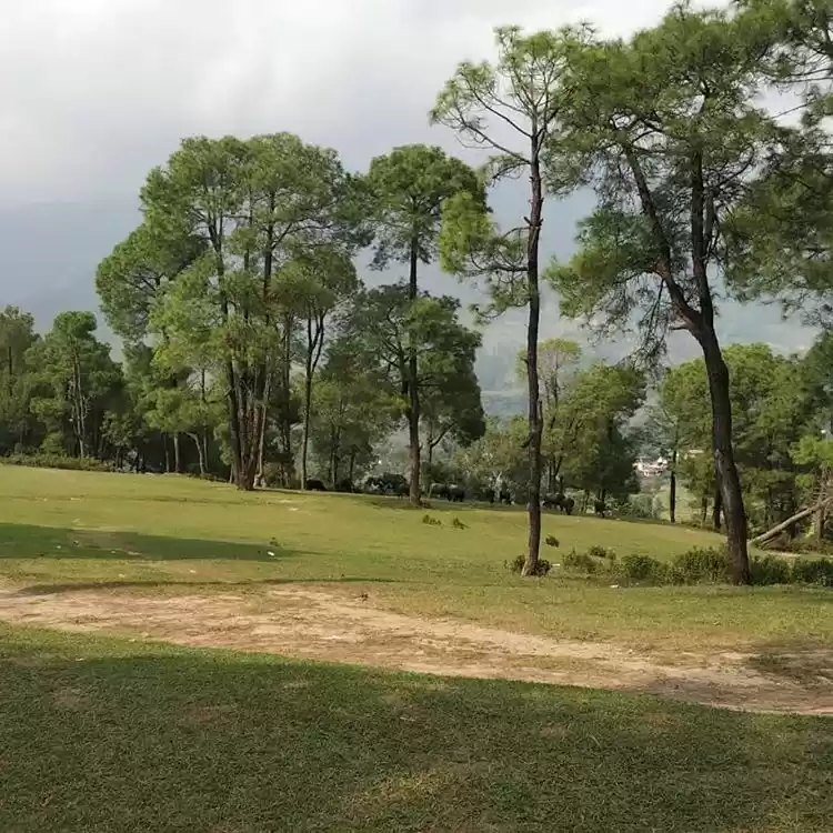 Photo of India by Train 35 da