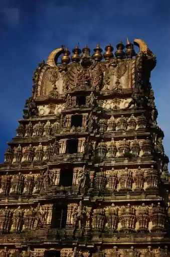 Photo of Mysore - The Sultan 