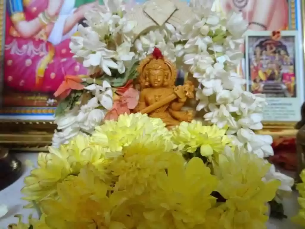 Photo of Navratri Kolu – Duss