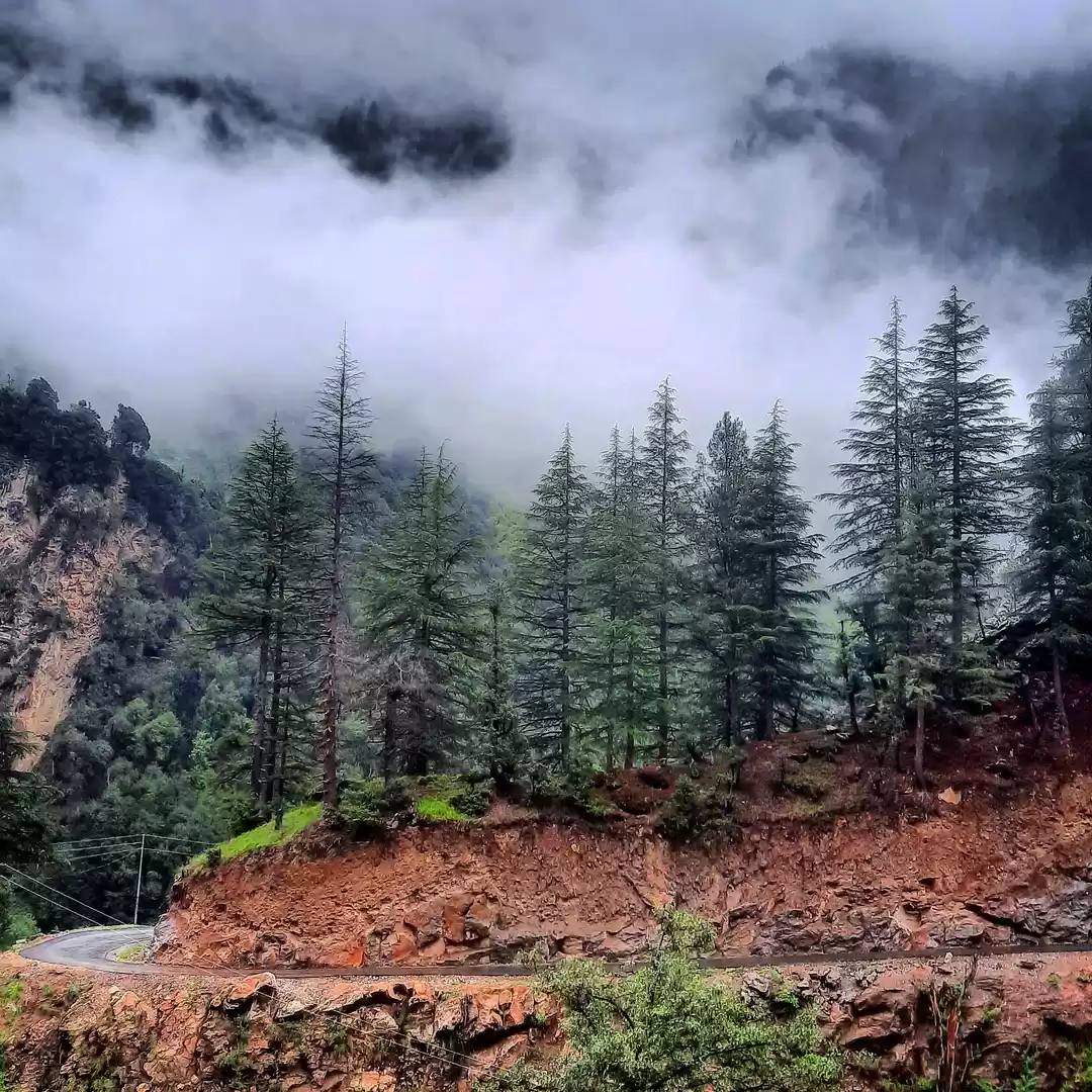 Photo of Majesticpaddar 