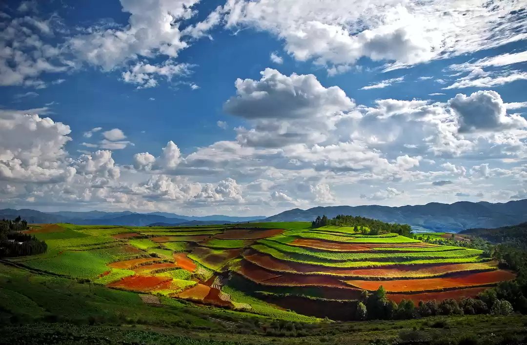 Photo of Dongchuan red land
#