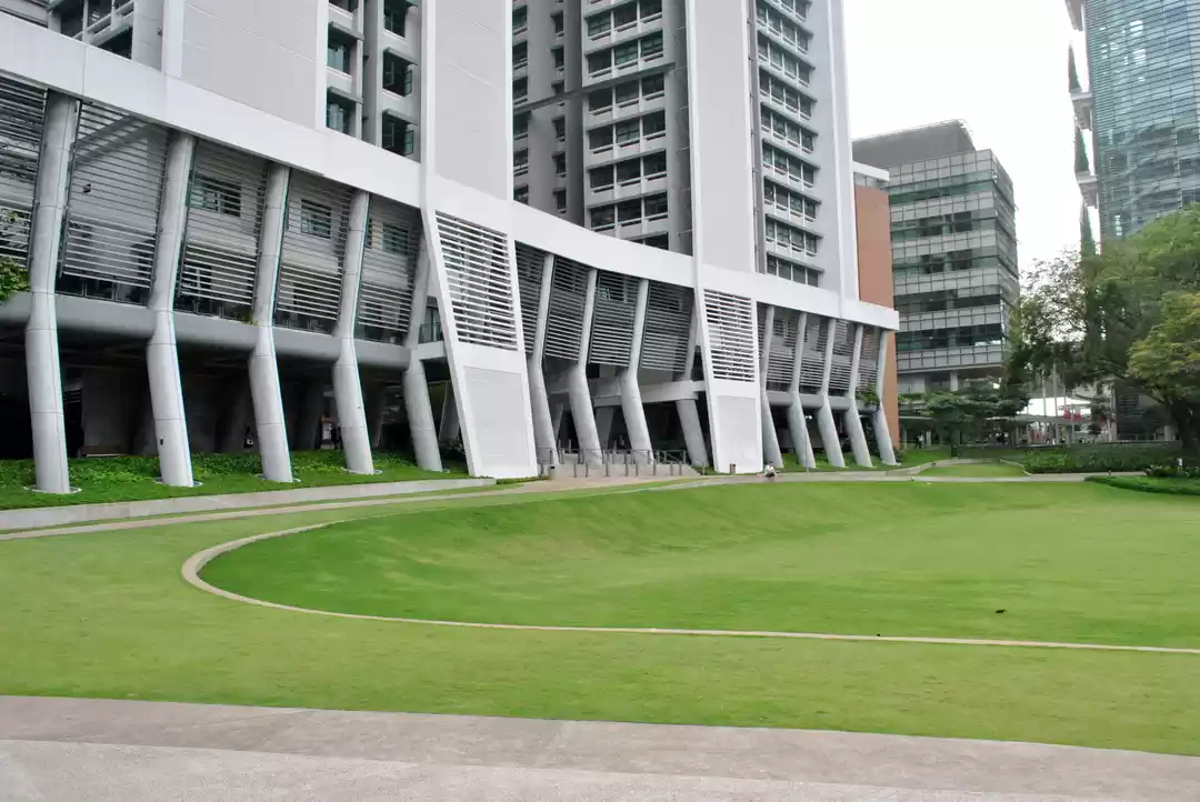 Photo of Semester in the Lion