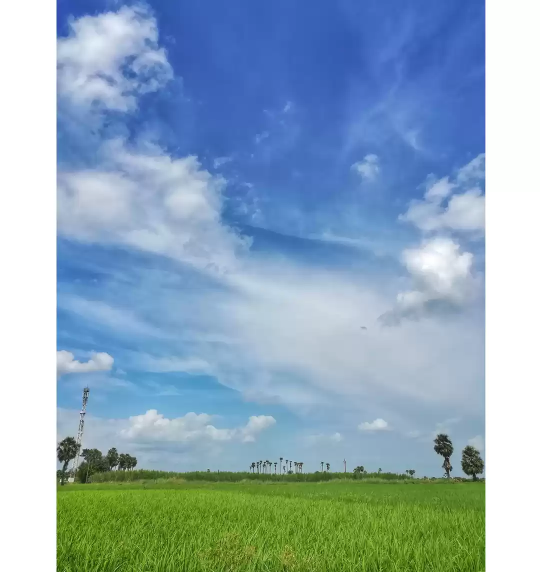 Photo of Sunny noon