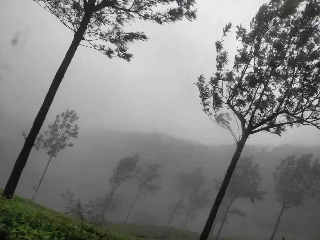 Photo of Itinerary : South In