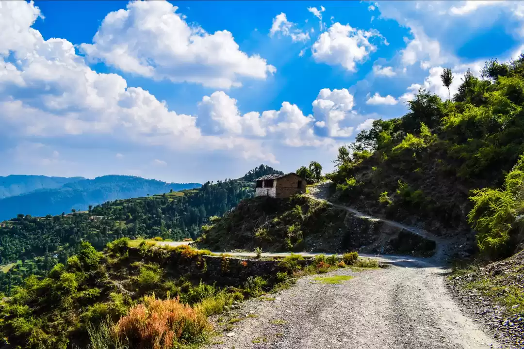 Photo of Deja Vu Trip - Chakr