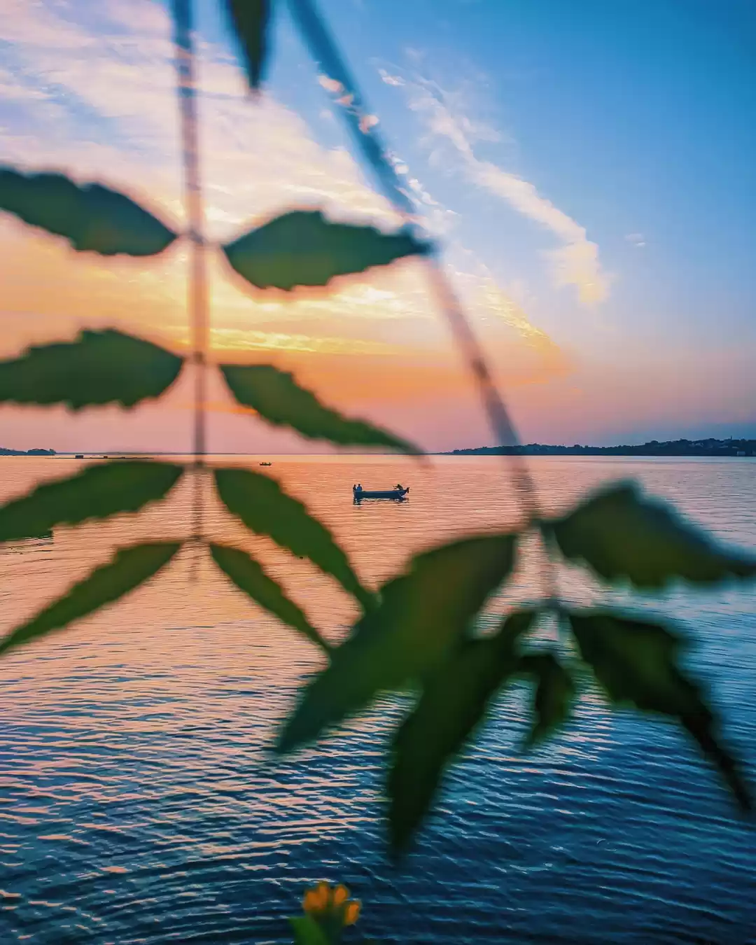 Photo of Best of Bhopal 