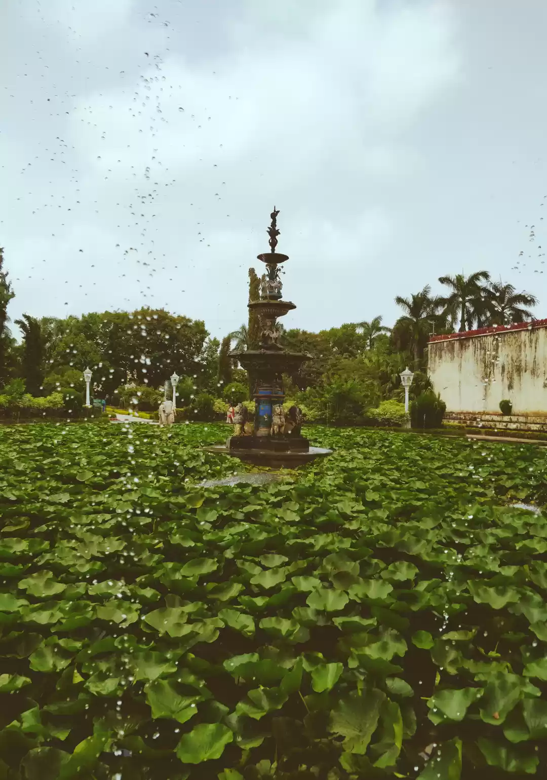Photo of Fountain of youth.