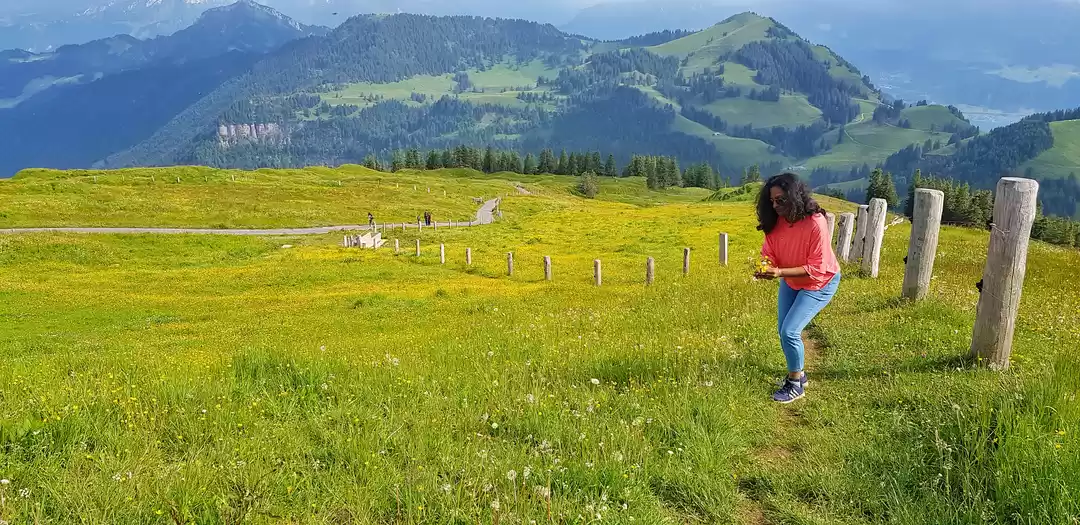 Photo of Flowers for you ☺️ ,