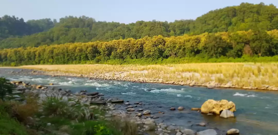 Photo of River kosi on a sunn
