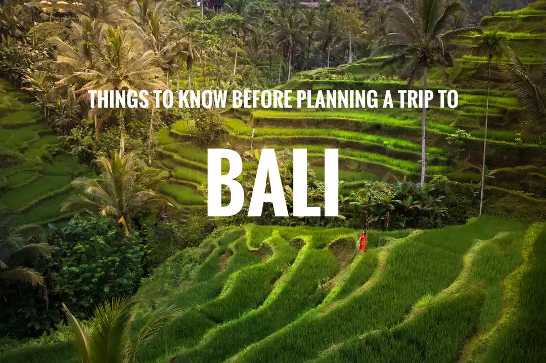 Photo of Things to know befor