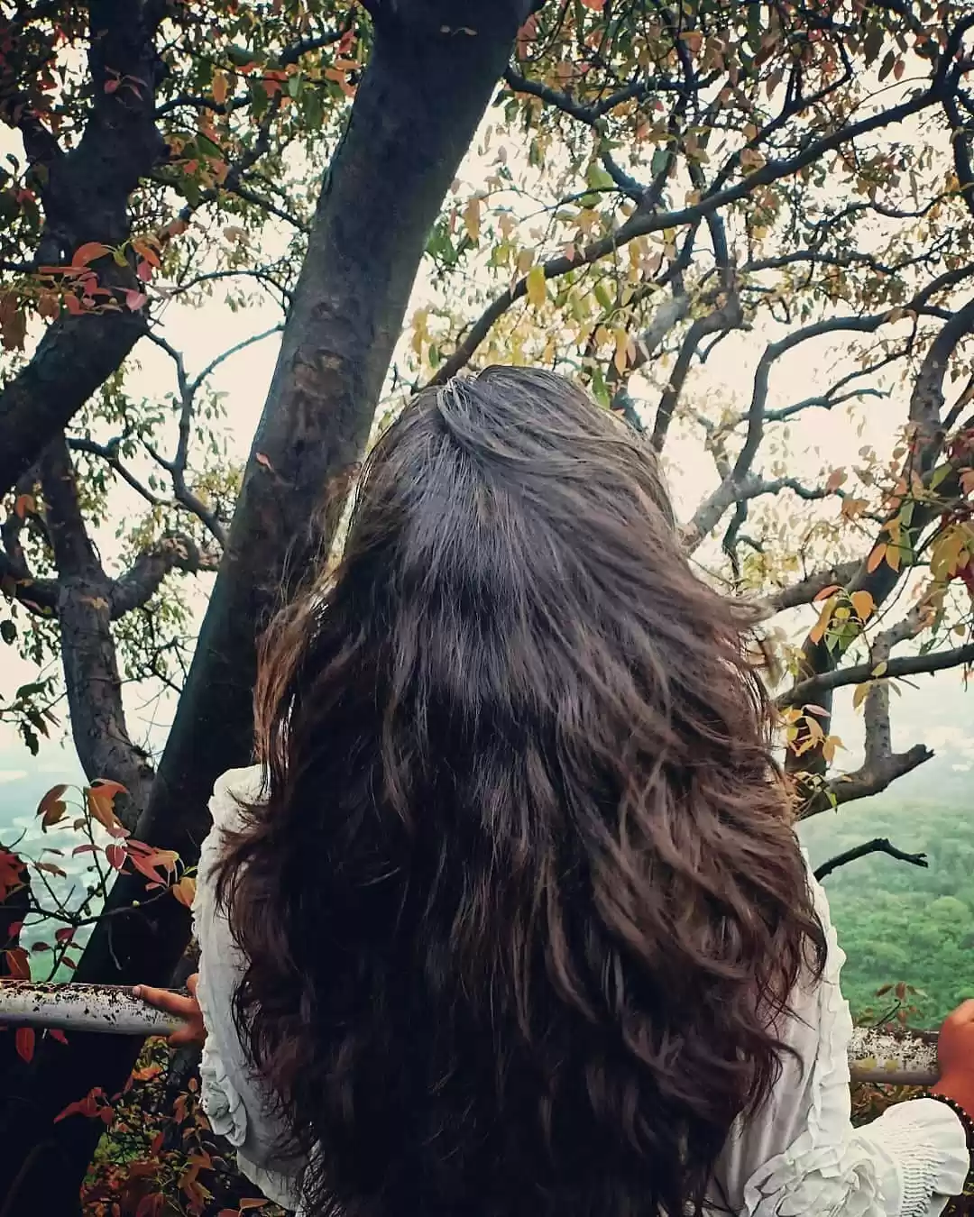 Photo of Exploring nature