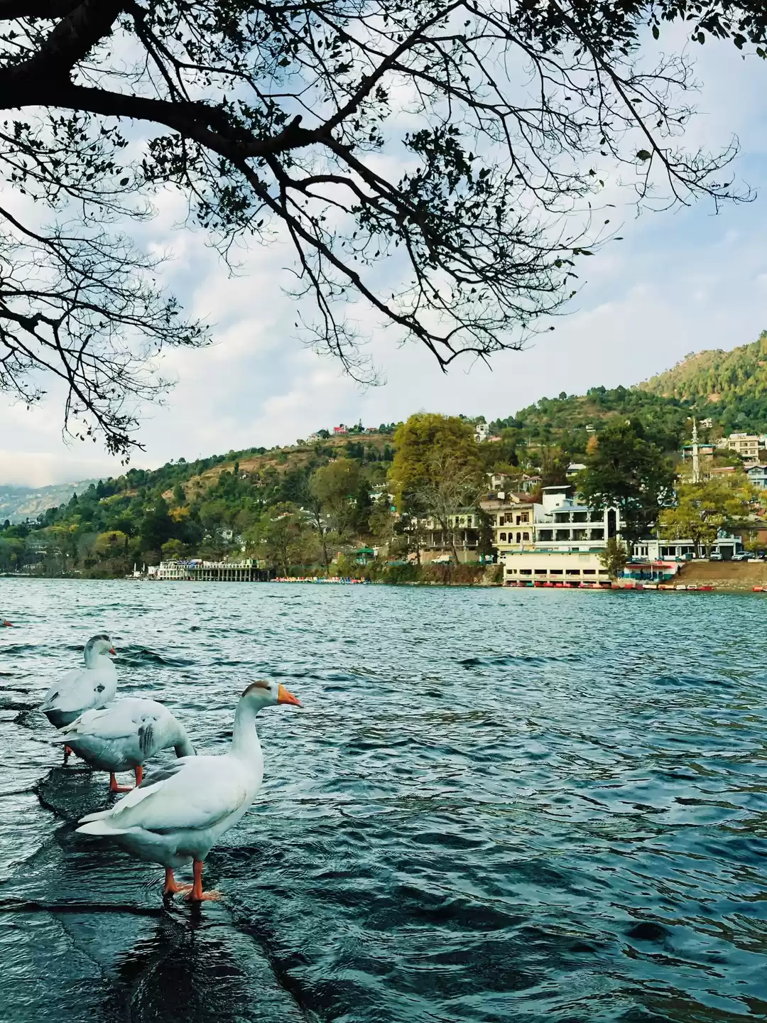 Photo of Bhimtal #Bhimtal #Ut