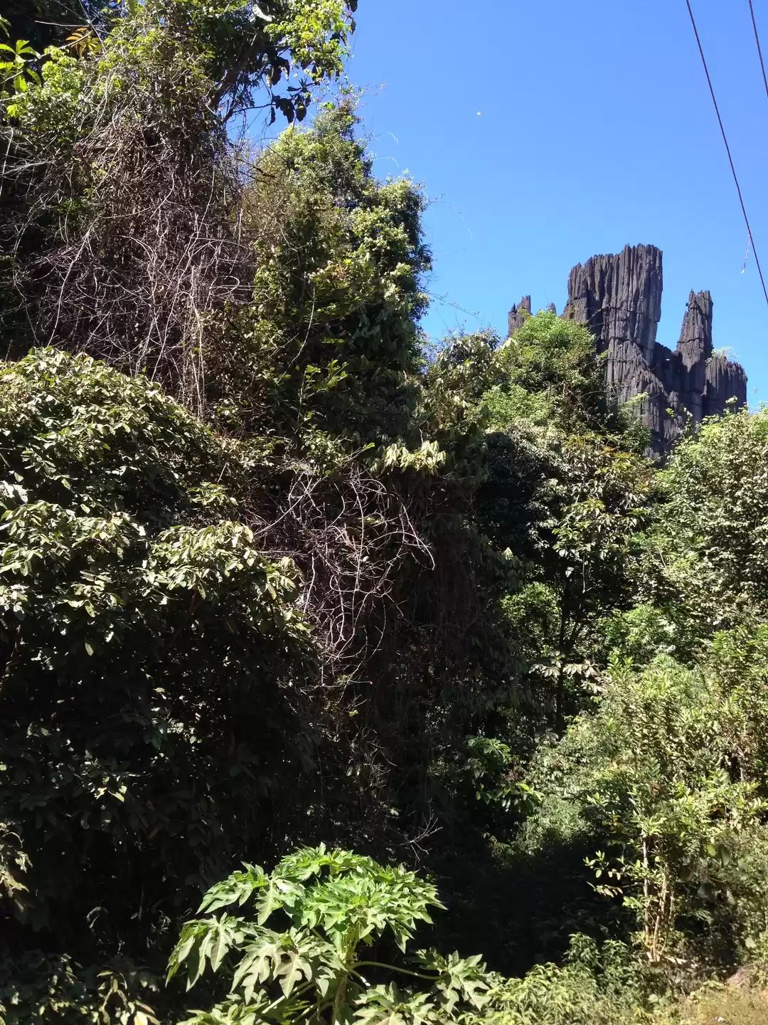 Photo of Beauty of Kumta!! (Y