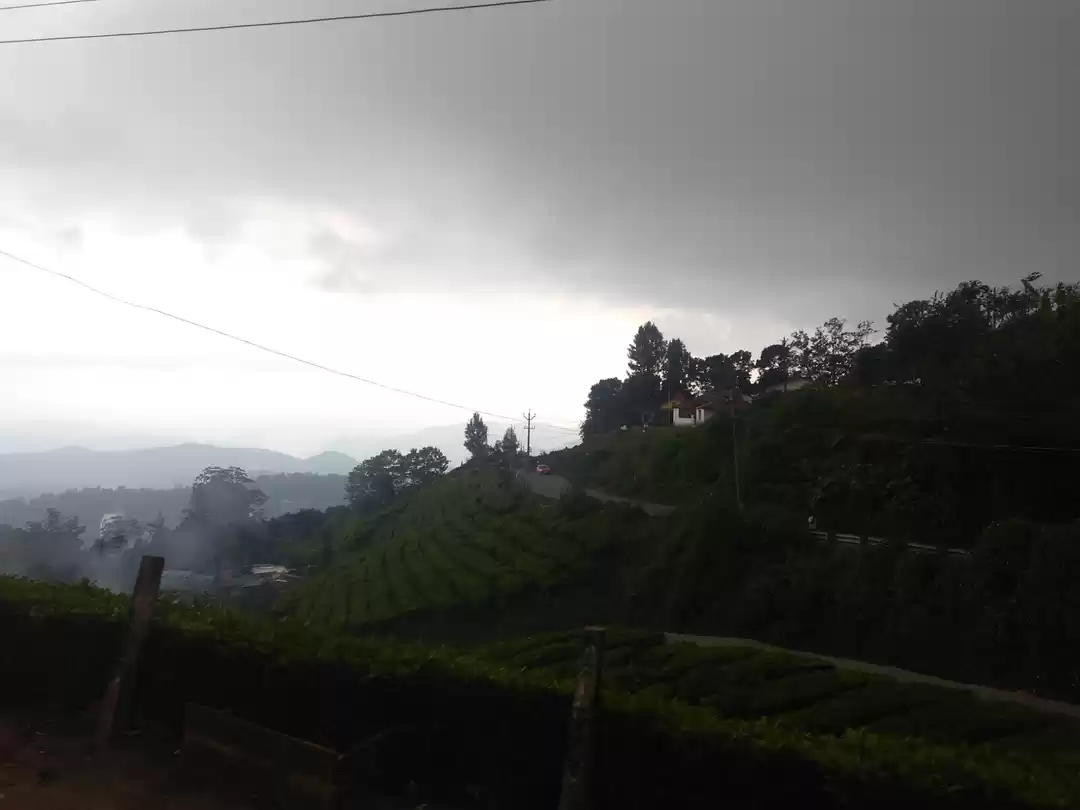 Photo of Munnar 2nd mile 