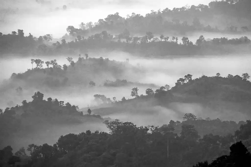 Photo of JAMPUI LANDSCAPE