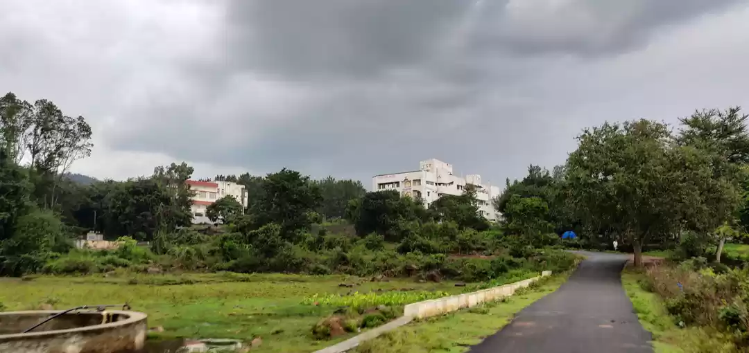 Photo of Nice climate