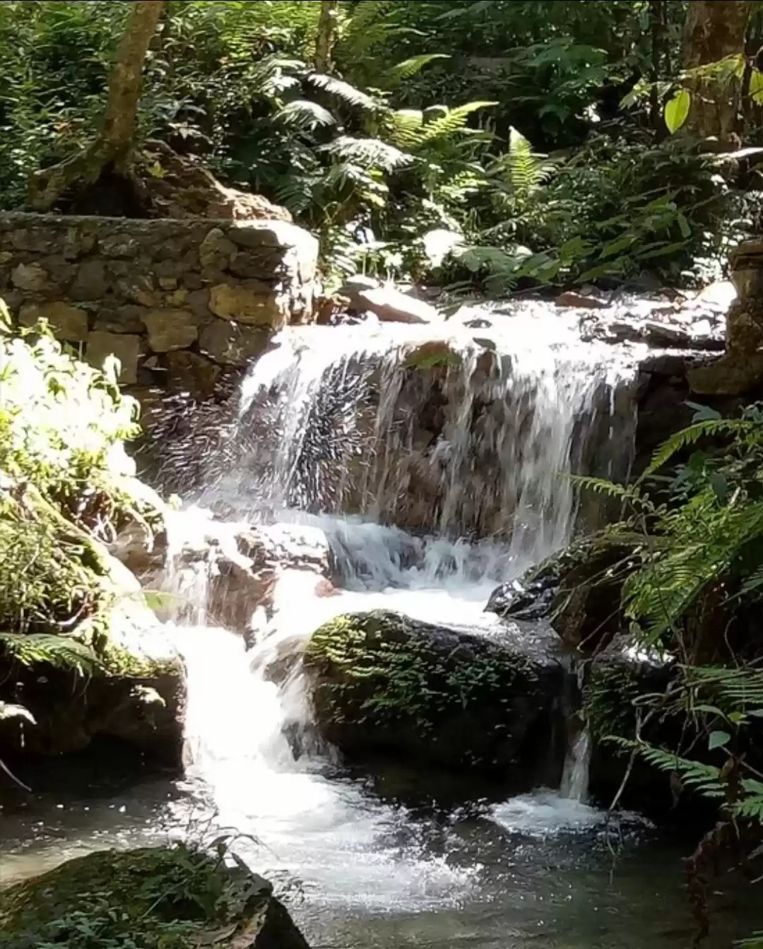 Photo of Things to Do in Muss