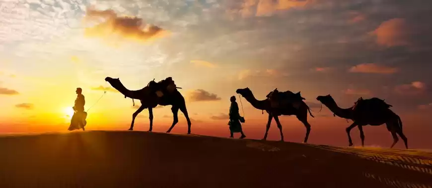 Photo of Don't leave Rajestha