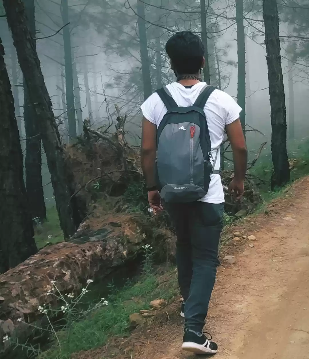 Photo of Explored Shimla & Ku