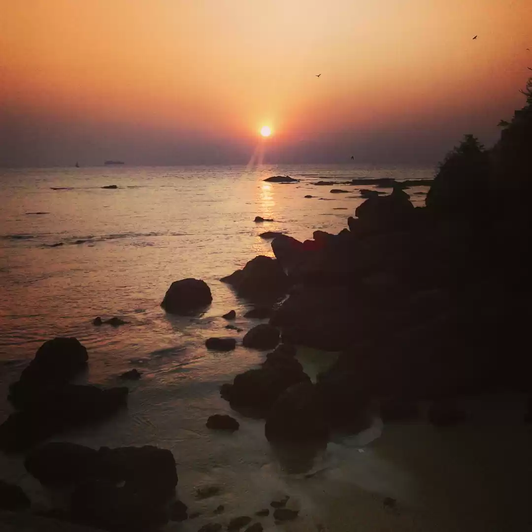Photo of Biking in North Goa