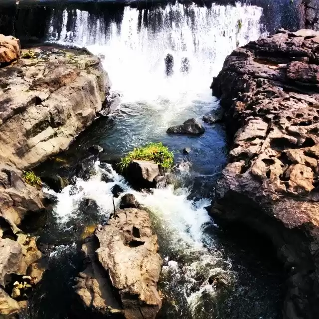 Photo of Pleasing Pune