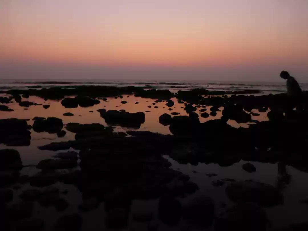 Photo of One day trip to Mumb