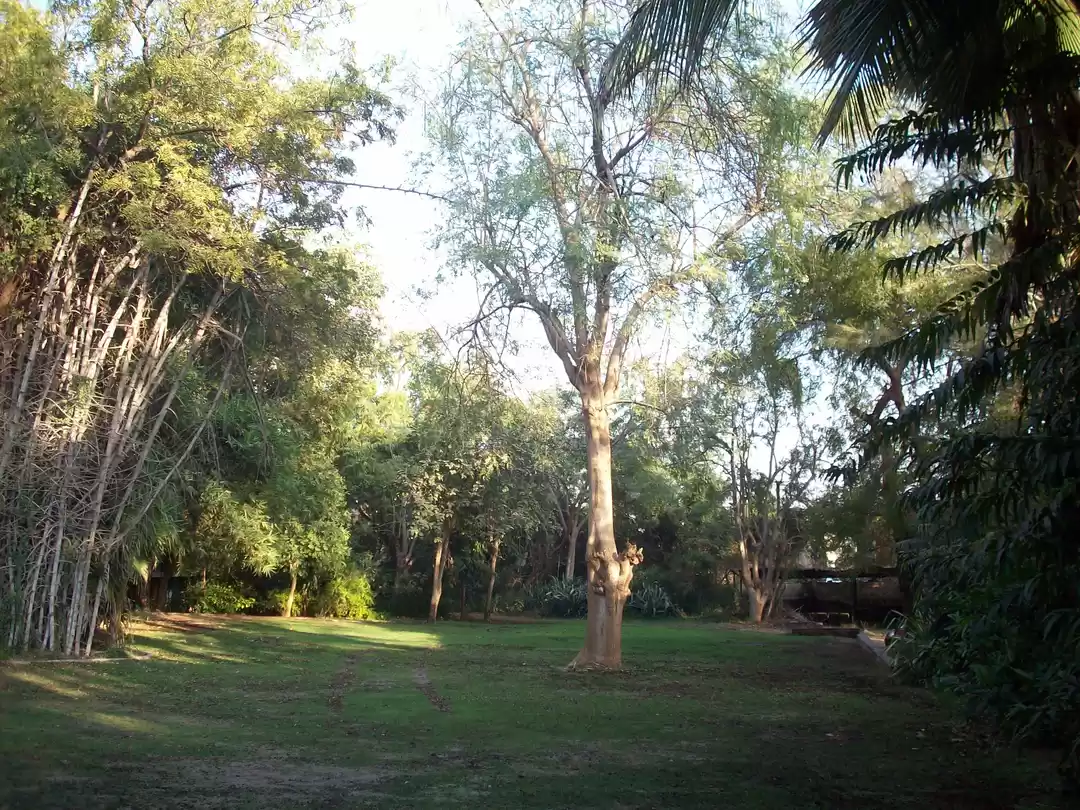 Photo of A day in Ahmadabad 