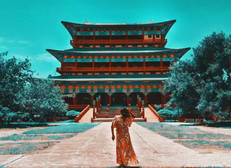 Photo of Staycation at Tiger 