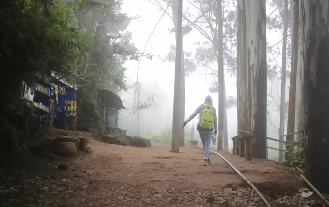 Photo of A Brief Account of a