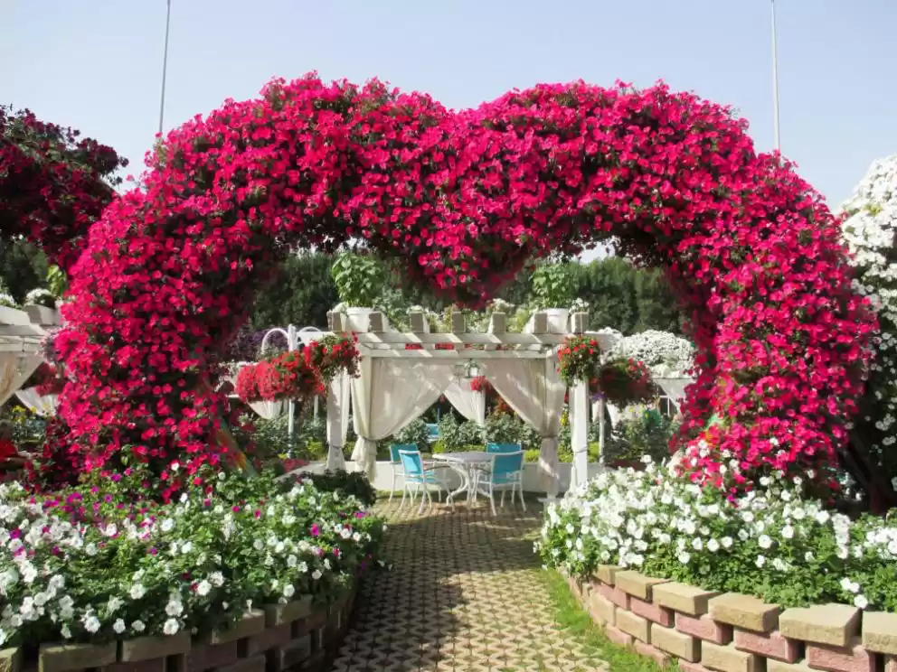 Photo of You Can Definitely P