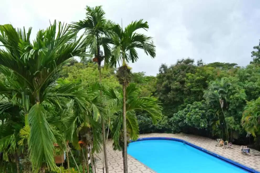 Photo of Spend An Entire Day 