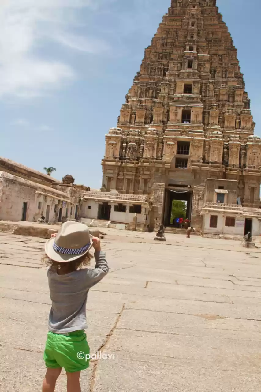 Photo of Little traveller.. a