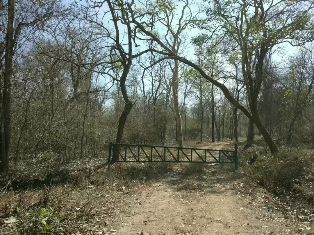 Photo of The Scariest Road in