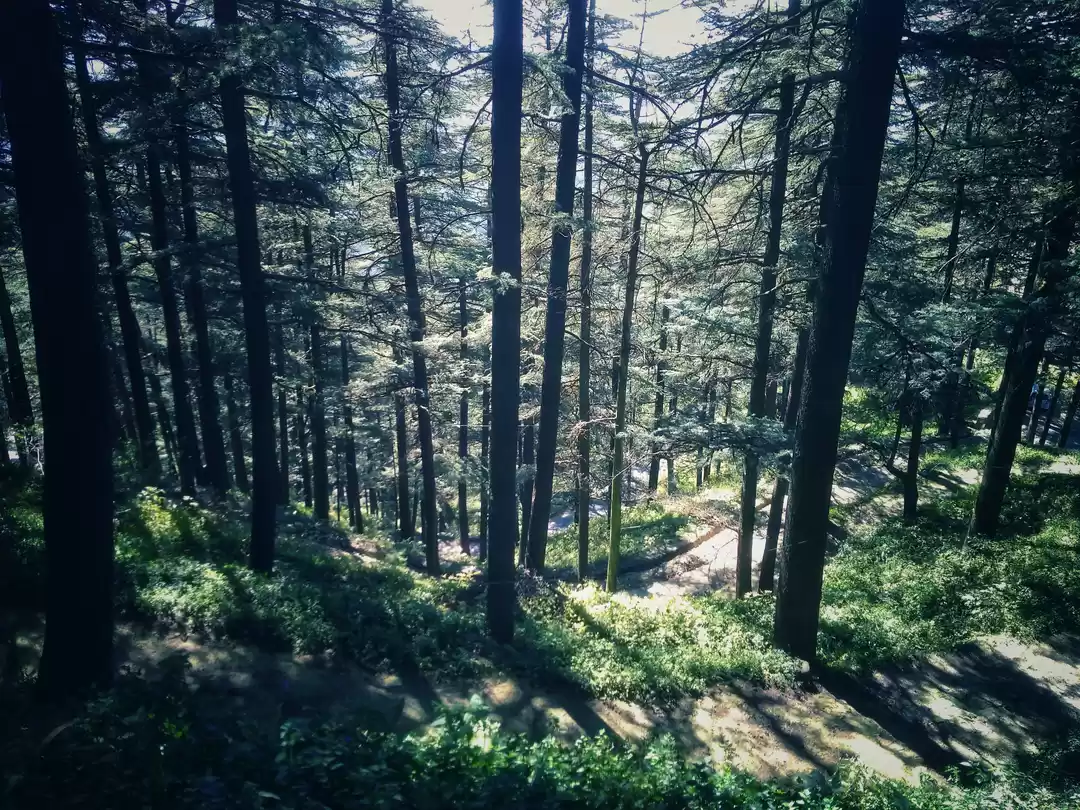 Photo of A Long Weekend Getaw