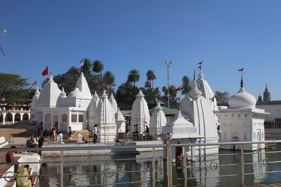 Photo of Amarkantak: king of 