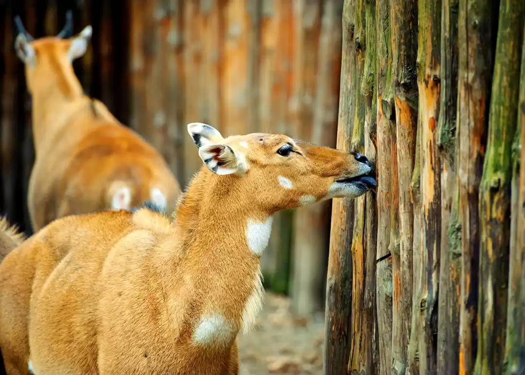 Photo of Traveling to the Wor