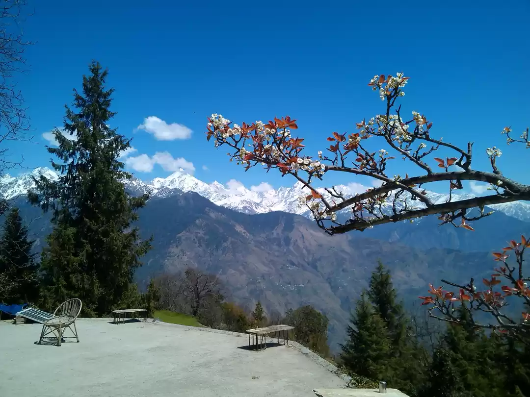 Photo of Munsiyari: Inclusive