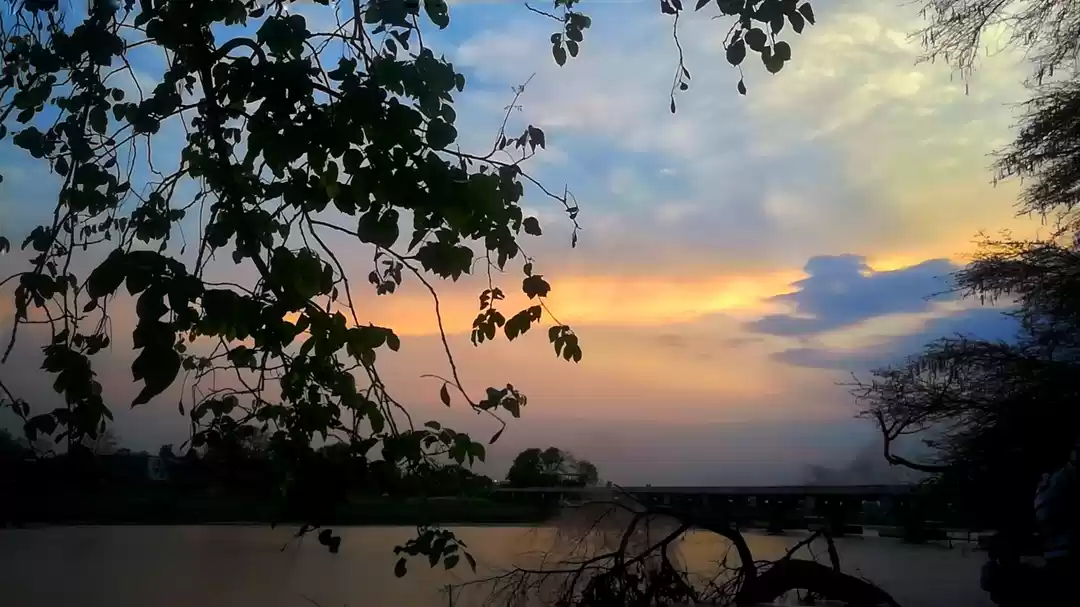 Photo of Gulawat -The Lotus v