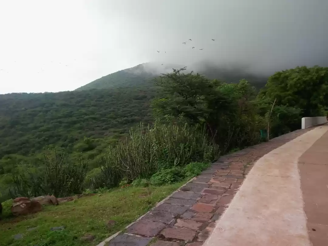 Photo of Near to nature and m