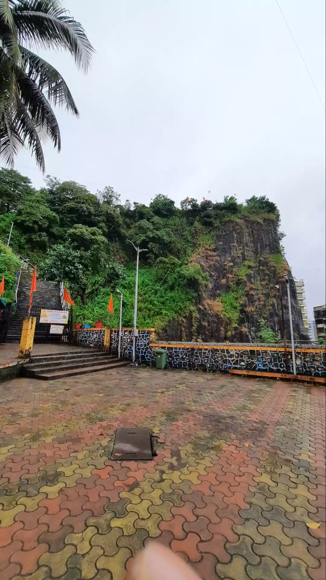 Photo of ST3 Gilbert Hill - M