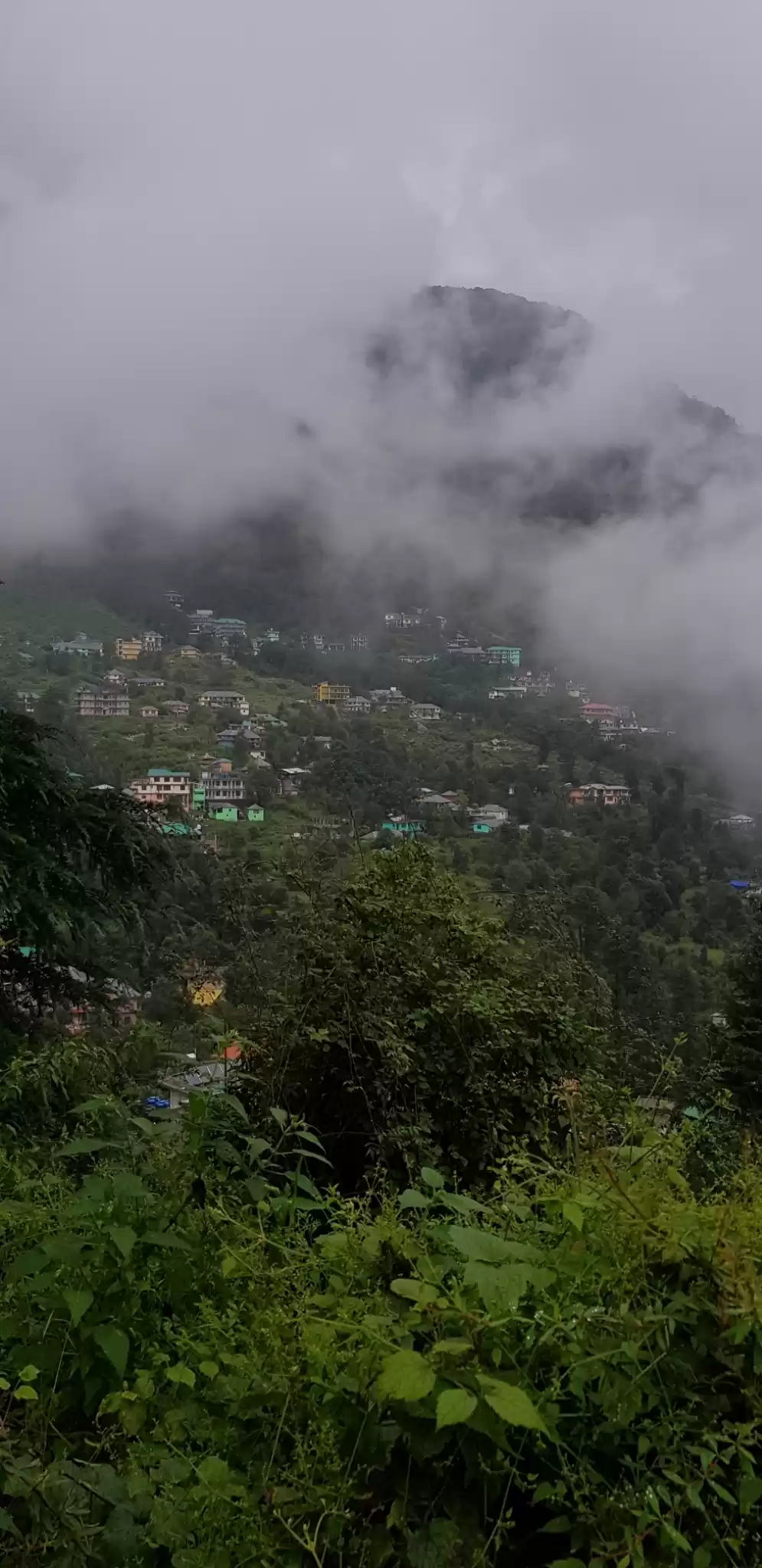 Photo of Dharmkot: Dope in me
