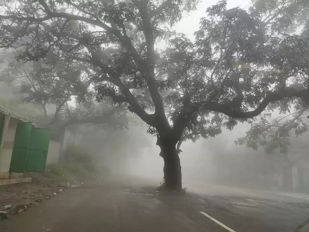 Photo of Weekend Tour 