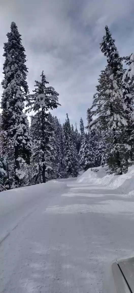 Photo of The mesmerising ski 