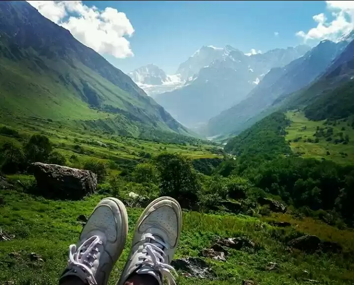 Photo of Beauty to Behold- Va